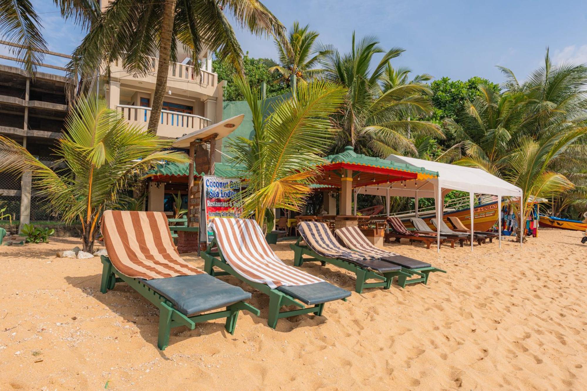 Hotel Coconut Bar Sea Lodge ベールワラ エクステリア 写真