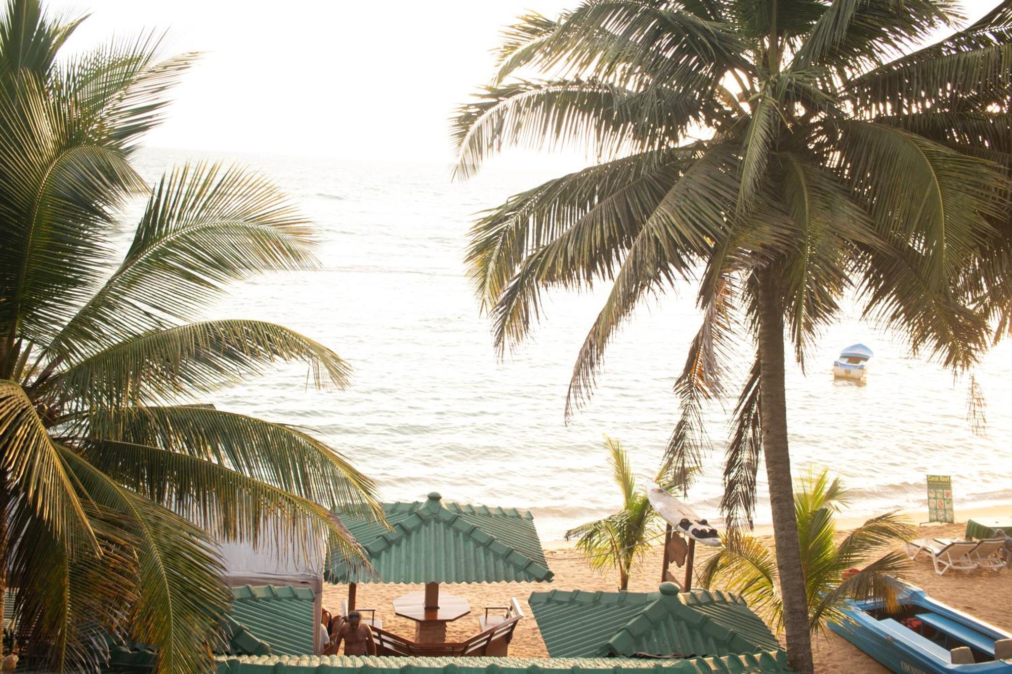Hotel Coconut Bar Sea Lodge ベールワラ エクステリア 写真